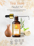 Buy Nutriment Tea Tree Essential Oil, 15ml - Purplle