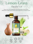 Buy Nutriment Lemon Grass Essential Oil, 15ml - Purplle