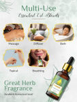 Buy Nutriment Lemon Grass Essential Oil, 15ml - Purplle