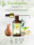 Buy Nutriment Rosemary & Eucalyptus Essential Oil, 15ml each (Combo of 2) - Purplle