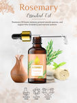 Buy Nutriment Rosemary & Eucalyptus Essential Oil, 15ml each (Combo of 2) - Purplle