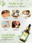 Buy Nutriment Rosemary & Eucalyptus Essential Oil, 15ml each (Combo of 2) - Purplle