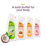 Buy Santoor Hydrating Skin Body Wash, 230ml, Enriched With Virgin Coconut Oil & Moringa Extracts, Soap-Free, Paraben-Free, pH Balanced Shower Gel - Purplle