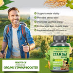 Buy Nutrainix Organic & Plant-Based Stamina Booster with 11 Potent Herbs for Strength, Endurance & Stamina - 90 Vegetarian Capsules - Purplle