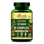 Buy Ayurveda Organics Plant-Based Vitamin B Complex for Hair & Metabolism - 120 Veg Capsules - Purplle