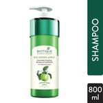 Buy Biotique Green Apple Fresh Daily Purifying Shampoo & Conditioner (800 ml) - Purplle