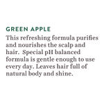 Buy Biotique Green Apple Fresh Daily Purifying Shampoo & Conditioner (800 ml) - Purplle