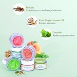Buy Just Herbs Ayurvedic & Vegan Mint Lip Scrub for Chapped, Pigmented & Dark lips, 15gm - Purplle