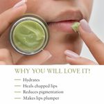 Buy Just Herbs Ayurvedic & Vegan Mint Lip Mask for Chapped, Pi gmented & Dark lips, 15 gm - Purplle