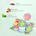 Buy Just Herbs Ayurvedic & Vegan Mint Lip Mask for Chapped, Pi gmented & Dark lips, 15 gm - Purplle