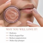 Buy Just Herbs Ayurvedic & Vegan Peach Lip Mask for Chapped, Pi gmented & Dark lips, 15 gm - Purplle