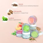 Buy Just Herbs Ayurvedic & Vegan Peach Lip Mask for Chapped, Pi gmented & Dark lips, 15 gm - Purplle