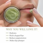 Buy Just Herbs Ayurvedic & Vegan Cardamom Lip Mask for Chapped, Pi gmented & Dark lips, 15 gm - Purplle