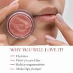 Buy Just Herbs Ayurvedic & Vegan Rose Lip Scrub & Lip Mask duo pack for Chapped, Pigmented & Dark lips (30 gm) - Purplle