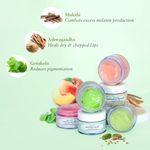 Buy Just Herbs Ayurvedic & Vegan Green Apple Lip Scrub & Lip Mask duo pack for Chapped, Pigmented & Dark lips (30 gm) - Purplle