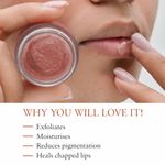 Buy Just Herbs Ayurvedic & Vegan Peach Lip Scrub & Lip Mask duo pack for Chapped, Pigmented & Dark lips (30 gm) - Purplle