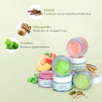 Buy Just Herbs Ayurvedic & Vegan Cardamom Lip Scrub & Lip Mask duo pack for Chapped, Pigmented & Dark lips (30 g) - Purplle