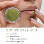 Buy Just Herbs Ayurvedic & Vegan Cardamom Lip Scrub & Lip Mask duo pack for Chapped, Pigmented & Dark lips (30 g) - Purplle