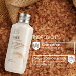 Buy The Face Shop Rice & Ceramide Moisturizing Facetoner Enriched With Rice Extracts To Brighten The Skin Suits All Skin Types |Hydrating Face Toner For Glowing Skin, 150 ml - Purplle