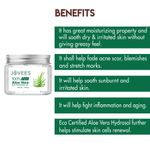 Buy Jovees Herbal Aloe Vera Multipurpose Gel (200 g) - Purplle