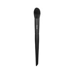 Buy RENEE Brushes Blush Brush R2 22 gm - Purplle
