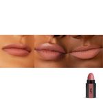Buy RENEE Fab Face Nude, Contains Eyeshadow, Blush & Lipstick, Vitamin E Infused, Intense Color Payoff, Compact & Travel Friendly, 4.5 gm - Purplle