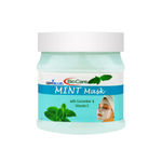 Buy GEMBLUE BioCare Mint Face Mask 1 Pc - Purplle