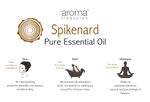 Buy Aroma Treasures Spikenard (Jatamasi) Essential Oil 100% Pure & Natural - Purplle