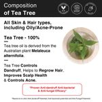 Buy Soulflower Coldpressed Olive Hair Oil 225ml and Tea Tree Essential Oil 15ml Pack of 2 - Purplle