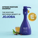 Buy BBLUNT Intense Moisture Shampoo for Seriously Dry Hair, with Jojoba and Vitamin E - 400ml - Purplle