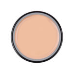 Buy Daily Life Forever52 Tender Cream Foundation FM1420 (25gm) - Purplle