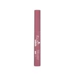 Buy Daily Life Forever52 Velvet Rose Matte Lipstick RS013 (2.5gm) - Purplle