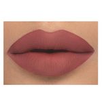Buy Daily Life Forever52 Velvet Rose Matte Lipstick RS013 (2.5gm) - Purplle