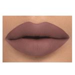 Buy Daily Life Forever52 Velvet Rose Matte Lipstick RS016 (2.5gm) - Purplle