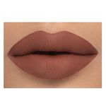 Buy Daily Life Forever52 Velvet Rose Matte Lipstick RS019 (2.5gm) - Purplle