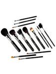 Buy Daily Life Forever52 Pro Professional 14 Pieces Brush Set X067 (14pcs) - Purplle