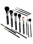Buy Daily Life Forever52 Pro Professional 14 Pieces Brush Set X067 (14pcs) - Purplle