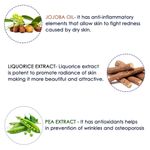 Buy NutriGlow Advanced Organics Derma Repair Facial Toner With Alpha Arbutin & Hyaluronic Acid, 100 ml - Purplle