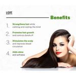 Buy Love Earth Ayurvedic Hair Oil With Brahmi, Amla & Shikakai For Stronger And Shinier Hair 100ml - Purplle