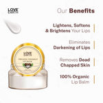 Buy Love Earth Coconut Lip Balm For Dry & Chapped Lips, An Ayurvedic Lip Moisturizer With Vitamin E, Shea Butter & Cocoa Butter 10gm - Purplle