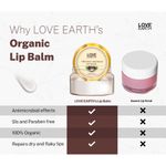 Buy Love Earth Coconut Lip Balm For Dry & Chapped Lips, An Ayurvedic Lip Moisturizer With Vitamin E, Shea Butter & Cocoa Butter 10 gm - Purplle