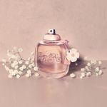 Buy Coach Floral Eau De Parfum 90Ml - Purplle