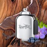 Buy Coach New York Platinum Eau De Parfum 60Ml - Purplle