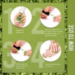 Buy NY Bae Pretty Pastels Nail Paint | Glossy Finish | Chip Resistant | Cruelty Free | Travel Friendly | Mini Nail Paint - Green Ferns 07 (3 ml) - Purplle