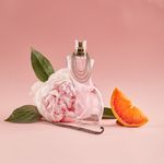 Buy Shakira Dance Eau De Toilette 80 Ml - Purplle