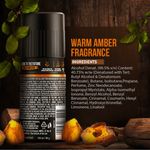 Buy Axe Warm Amber 24x7 Long Lasting Deodorant Bodyspray For Men (150 ml) - Purplle