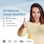 Buy Wellbeing Nutrition Melts Healthy Gut |Plant Based Probiotic 10B CFU, Digestive Enzyme (Protease & Papain) with Organic Apple Cider Vinegar For Indigestion, Gas, Acidity and Bloating (30 Oral Strips) - Purplle
