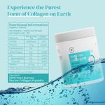 Buy Wellbeing Nutrition Pure Korean Marine Collagen Peptides| Hydrolyzed Type 1 & 3 Collagen Protein and Amino Acids |Supports Healthy Skin, Hair, Nails, Bone & Joint, Non GMO, Unflavored - 200g - Purplle