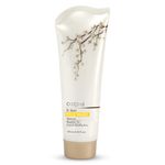 Buy OZONE D-TAN FACE WASH (100 ml) - Purplle