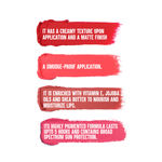 Buy Colorbar Velvet Matte Lipstick Last Night (4.2 gm) - Purplle